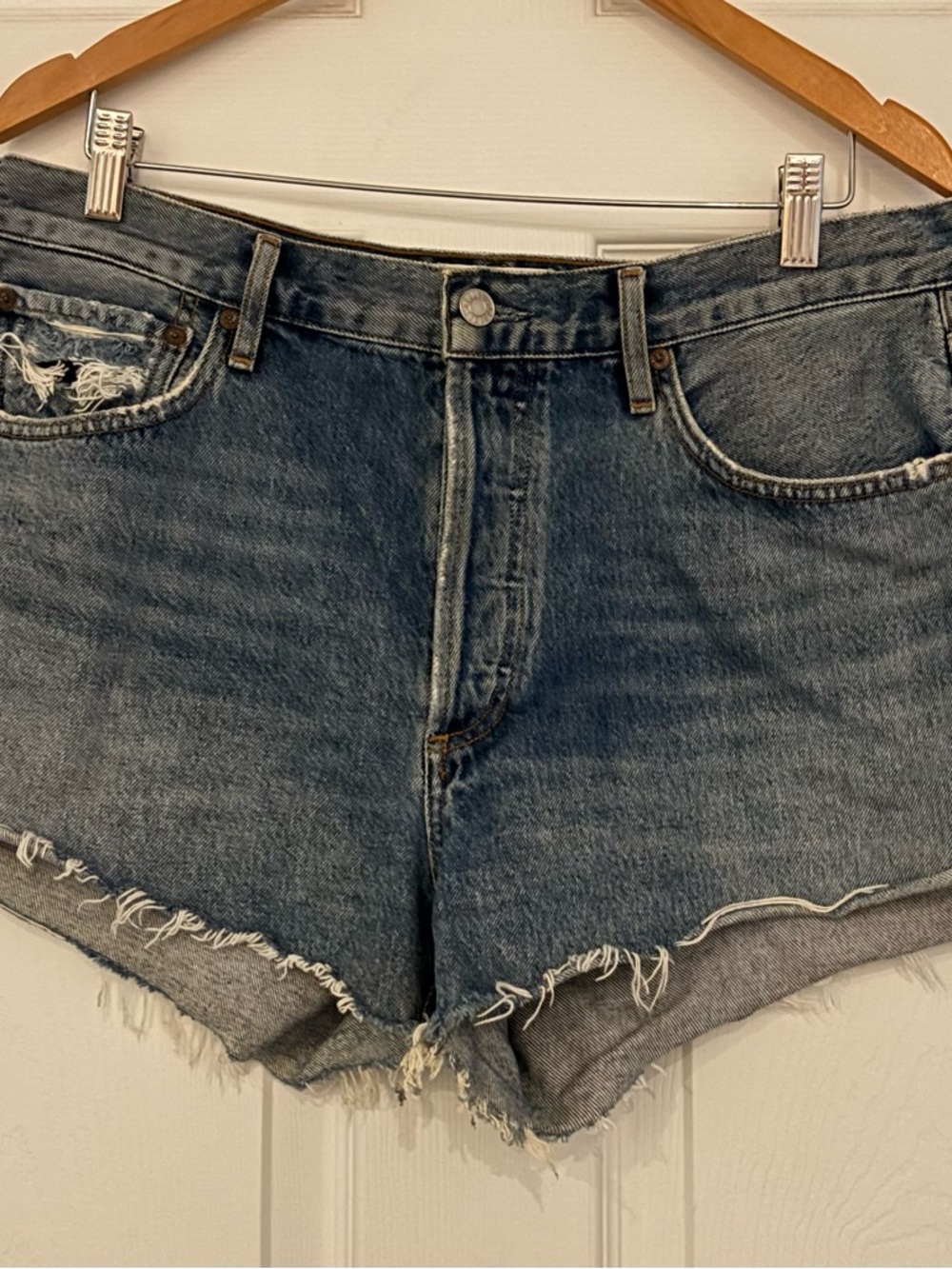 Agolde Parker vintage cutoff shorts lowkey size 31 NWOT